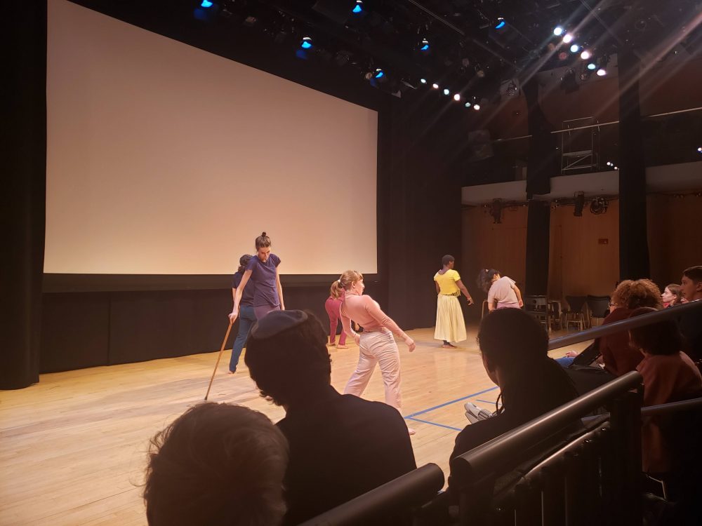 The Accessible Dispatch team attends a dance performance at ReelAbilities..