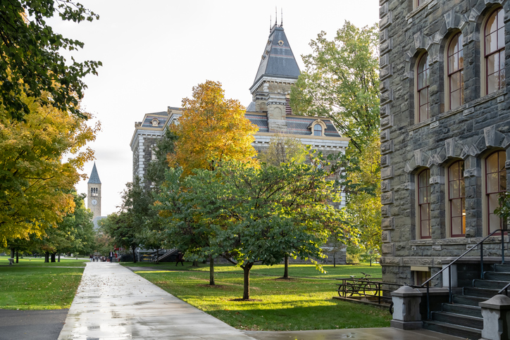 Cornell University is a private and statutory Ivy League research university.